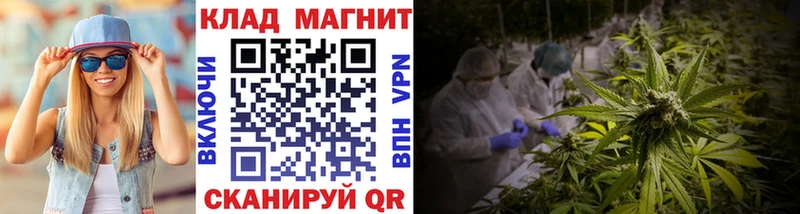 Какие есть наркотики Дальнегорск Галлюциногенные грибы COCAIN A PVP mega ссылка Гашиш АМФЕТАМИН Меф