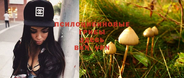 винт Бородино