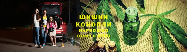 винт Бородино